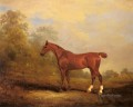 Cecil cheval John Ferneley Snr